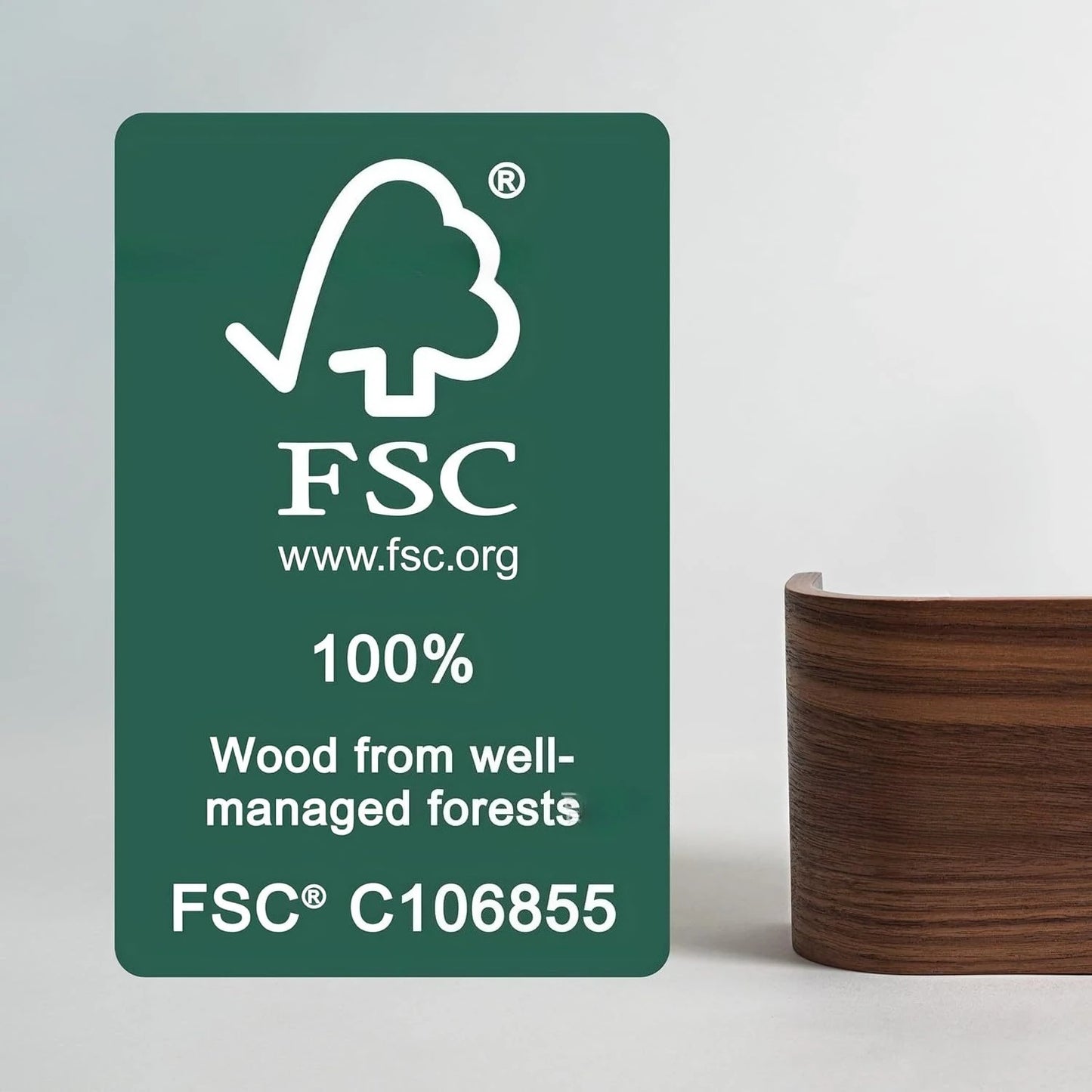 Walnut Wall Hanger, Entrance Clothes Hanger, Wall Coat Hook, Veneer Hanger, Wall Hanger Clothing Rack Stand Garment Rack
